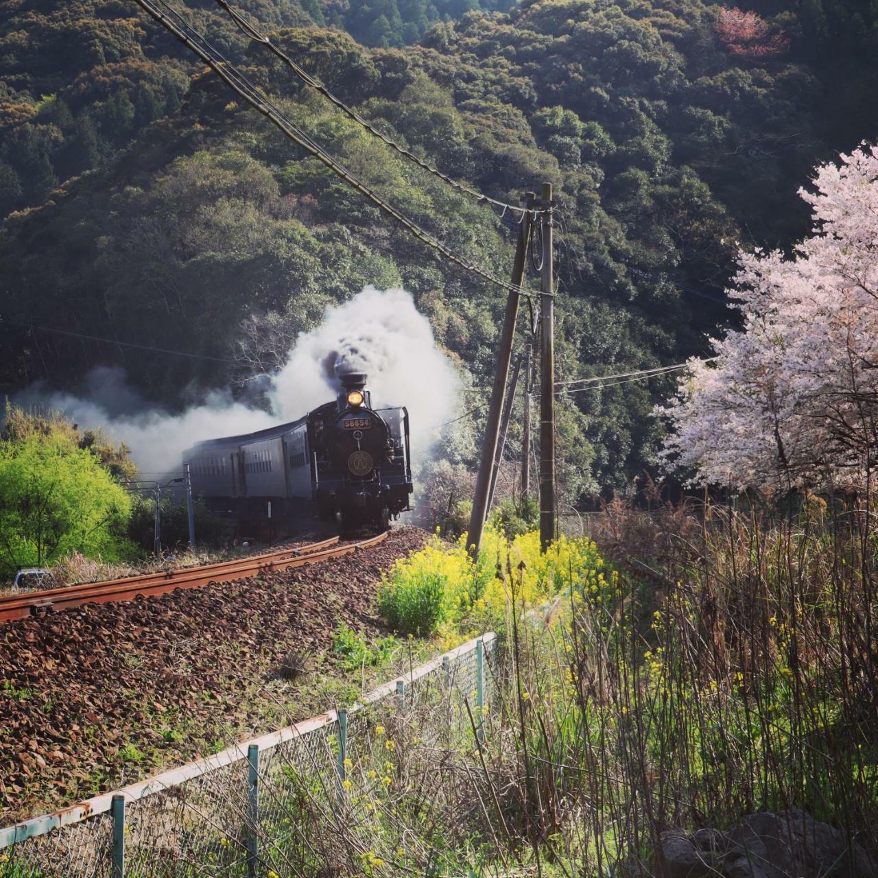 Отель Hitoyoshi Onsen Ohgano Yado Экстерьер фото